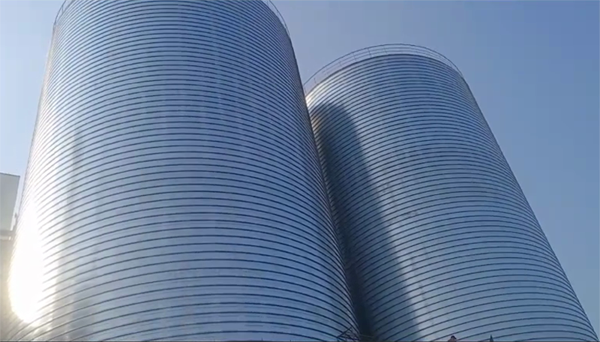 库尔勒2座混凝土高架卷板仓